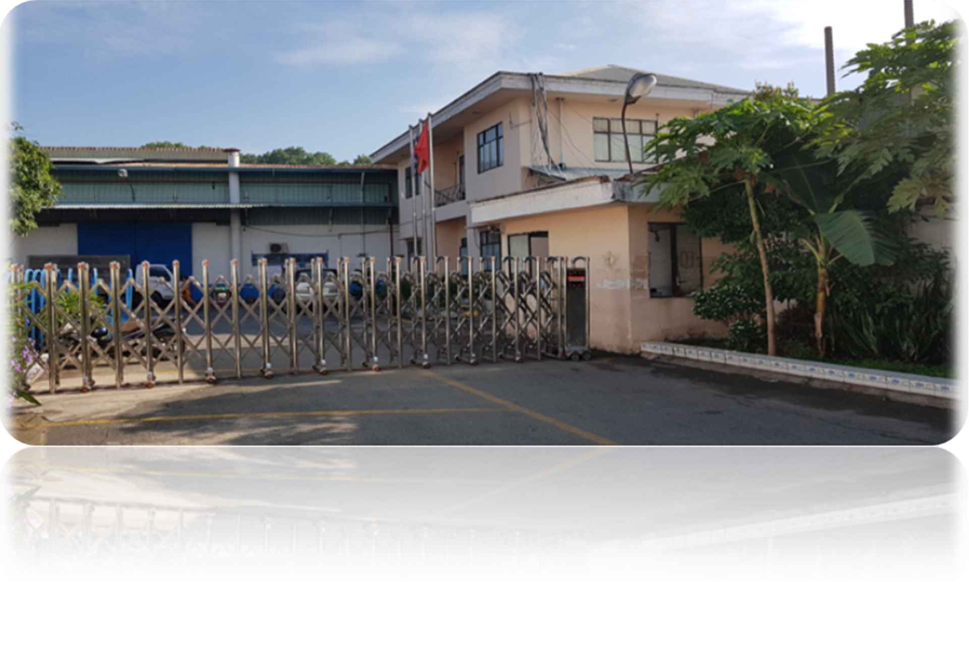 Times Graphene Made In Vietnam