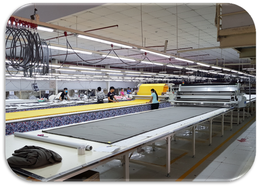 times graphene vietnam cutting dept office